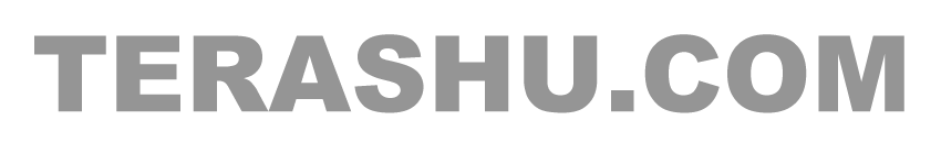 terashu.comのロゴ